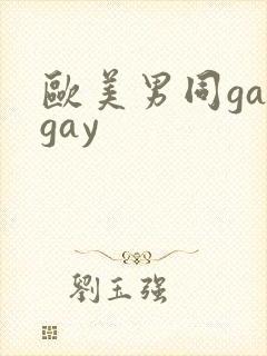欧美男同gaygay