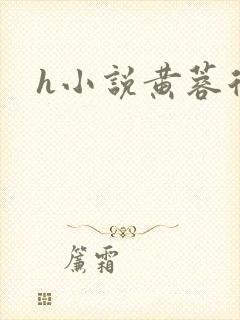 h小说黄蓉后传
