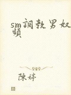 sm调教男奴视频
