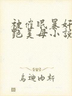 被催眠暴奸的冷艳美母小说封面