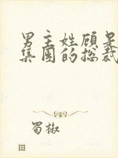 男主姓顾是顾氏集团的总裁