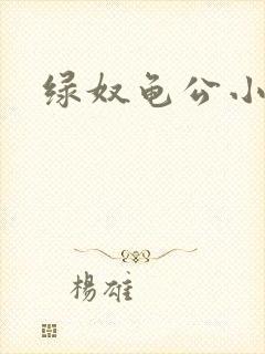 绿奴龟公小说封面