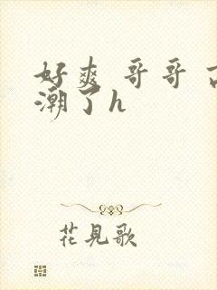 好爽 哥哥 高潮了h