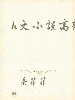h文小说高辣文