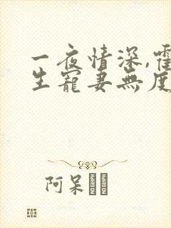 一夜情深,霍先生宠妻无度全集小说封面