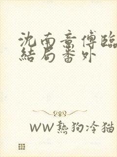沈南意傅临洲大结局番外