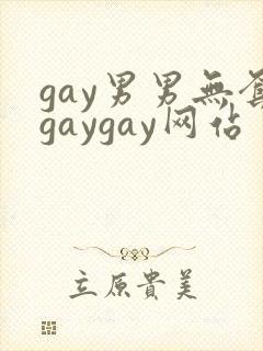 gay男男无套gaygay网站封面