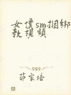 女仆sm捆绑调教视频