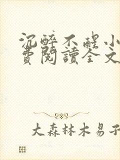 沉醉不醒小说免费阅读全文无弹窗