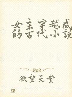 女主穿越成外室的古代小说封面