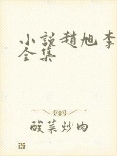 小说赵旭李晴晴全集封面