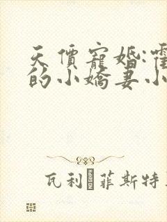 天价宠婚:霍总的小娇妻小说
