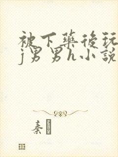 被下药后玩弄迷j男男h小说