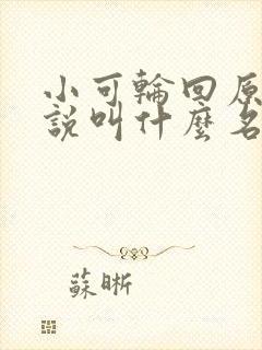 小可轮回原著小说叫什么名字