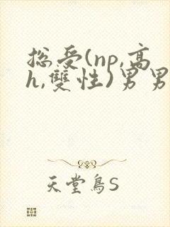 总受(np,高h,双性)男男