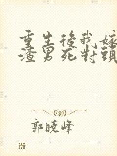 重生后我嫁给了渣男死对头