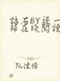 钻石BY逐一而归在线阅读