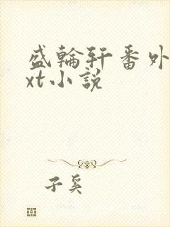 盛轮轩番外篇txt小说