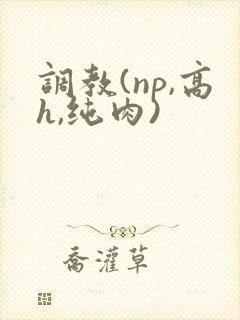 调教(np,高h,纯肉)
