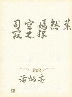 司空嫣然叶凡孤寂之狼