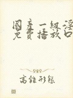 国产一级淫片a免费播放口