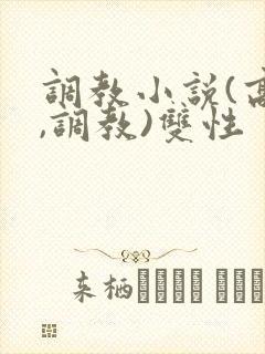 调教小说(高h,调教)双性