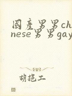 国产男男chinese男男gaygay网站