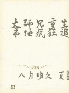 大师兄重生后师弟他疯狂追妻小说