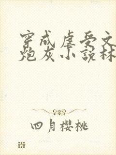 穿成虐受文里的炮灰小说林渊