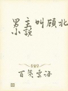 男主叫顾北川的小说