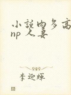 小说肉多高h np 人妻封面