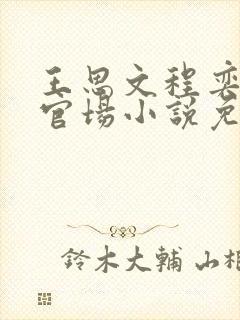 王思文程奕雪的官场小说免费阅读