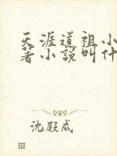 天涯道祖小说原著小说叫什么名字