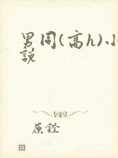 男同(高h)小说