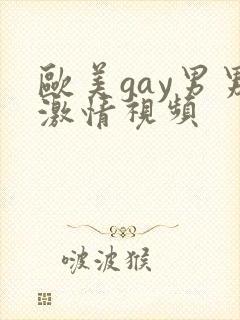 欧美gay男男激情视频