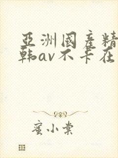 亚洲国产精品日韩av不卡在线