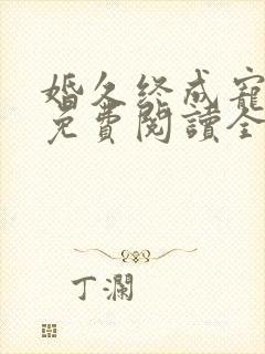 婚久终成宠小说免费阅读全文