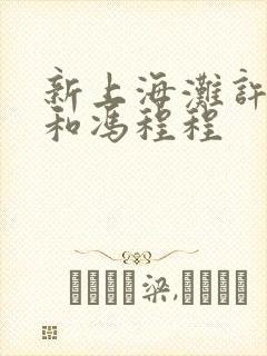 新上海滩许文强和冯程程