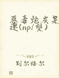 恶毒炮灰是万人迷(np/双)