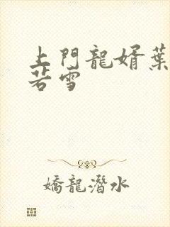 上门龙婿叶凡唐若雪封面