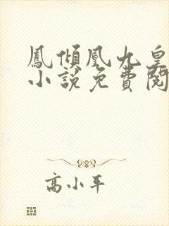 凤倾凰九皇叔的小说免费阅读封面