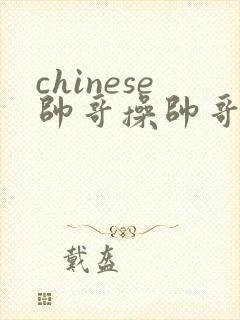chinese帅哥操帅哥网站