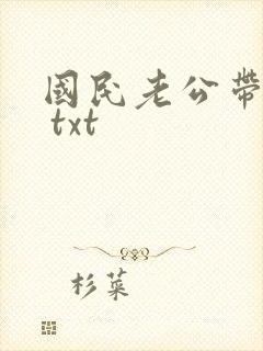 国民老公带回家 txt封面
