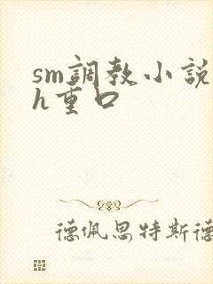 sm调教小说高h重口封面