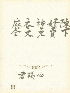麻衣神婿陈黄皮全文免费下载封面