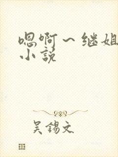 嗯啊～继姐夫h小说封面