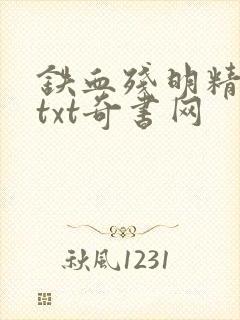 铁血残明精校版txt奇书网