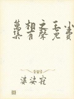 万相之王小说全集有声免费听