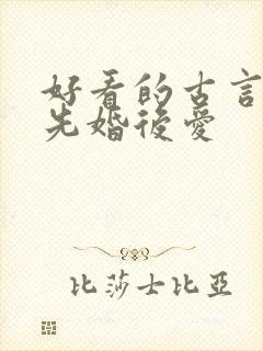 好看的古言小说先婚后爱封面