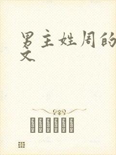 男主姓周的高干文
